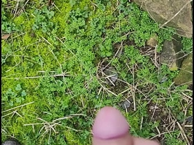 贝儿在野外射精 asian cully advanced gay coitus videos